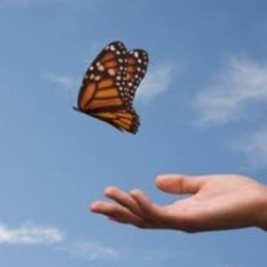 You Have To Let Go
