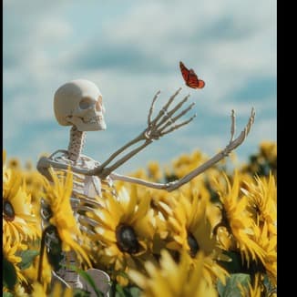 Skeleton Sam