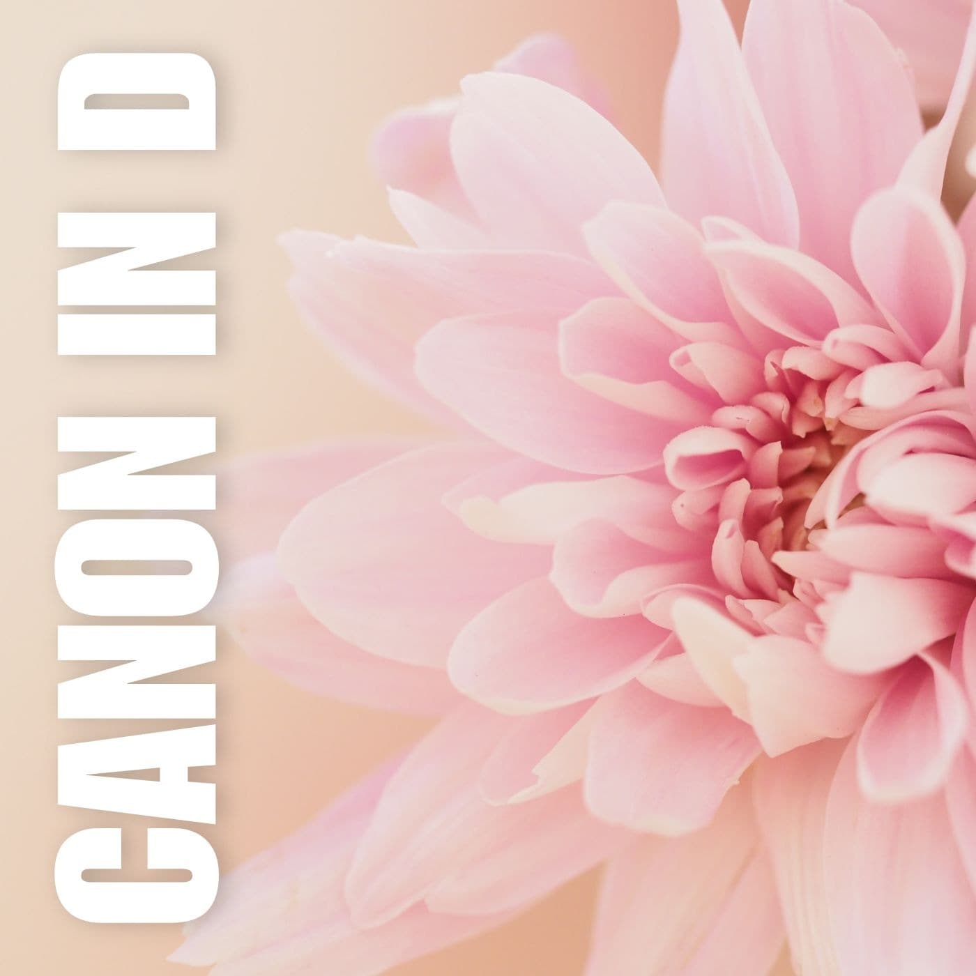 Pachelbel Canon in D • bassoon sheet music with piano accompaniment (arr. Benzaiten Editions)