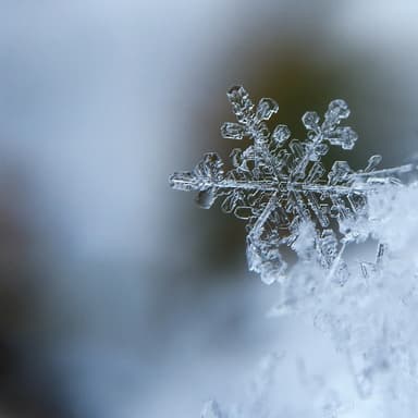 Bring A Torch, Jeannette, Isabella (arr. Skip Persia)