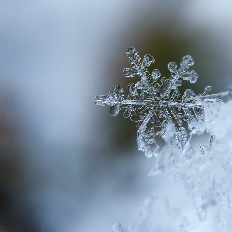 Bring A Torch, Jeannette, Isabella (arr. Skip Persia)