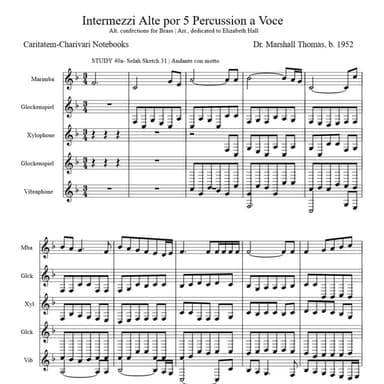 Intermezzi Alte por 5 Percussion a Voce