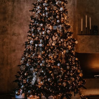 O Christmas Tree (arr. Dominic Meccia)