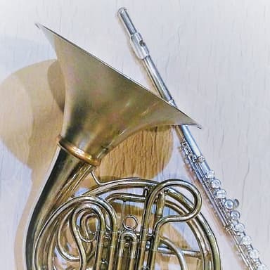 Silent Night Variations (arr. Nancy Shafer Rohar)