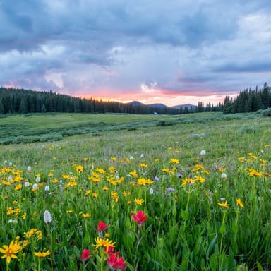 It Might As Well Be Spring (arr. Dominic Meccia)