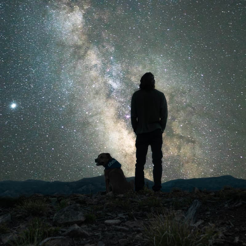 It Came Upon The Midnight Clear (arr. Dominic Meccia)