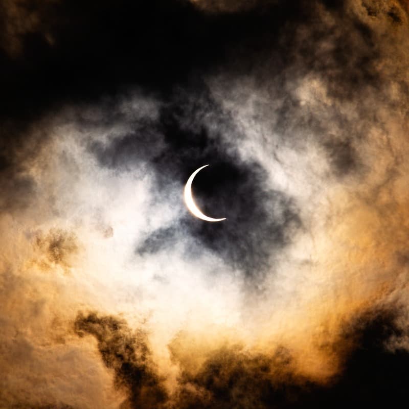 Danse Macabre (arr. Michelle Martin)