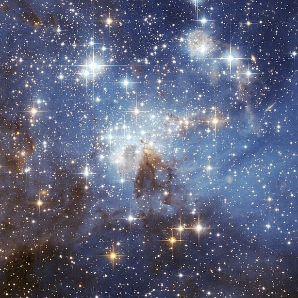 Stars Start to Show