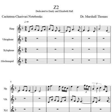Z 2 for Harp & Percussion a Voce