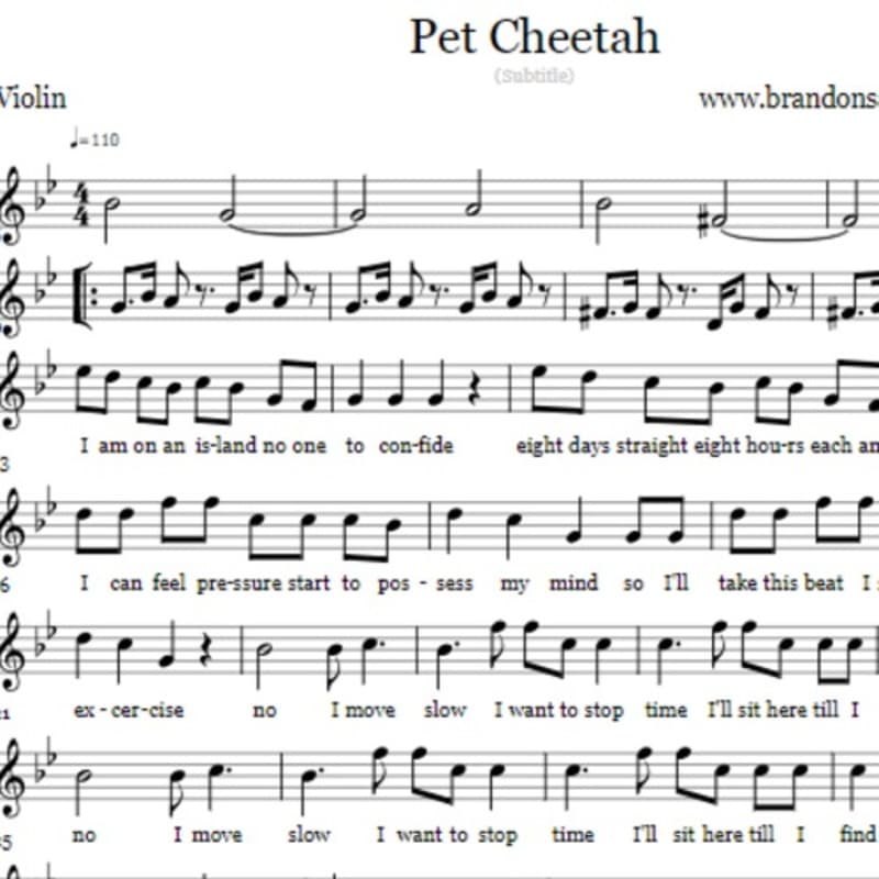 Pet Cheetah - Violin