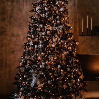 O Christmas Tree (arr. Dominic Meccia)