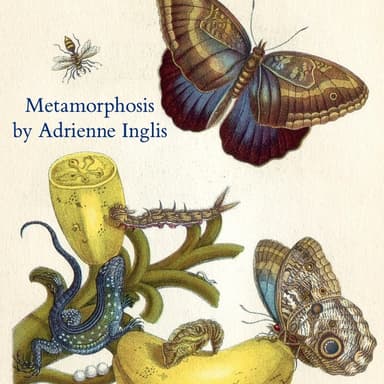 Metamorphosis for solo flute, solo pedal or lever harp, and strings