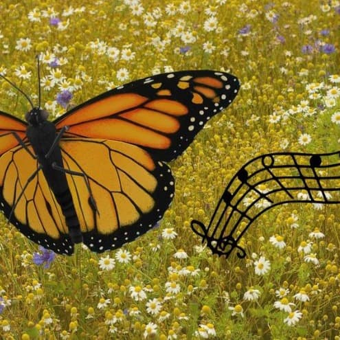 Monarch's Flight