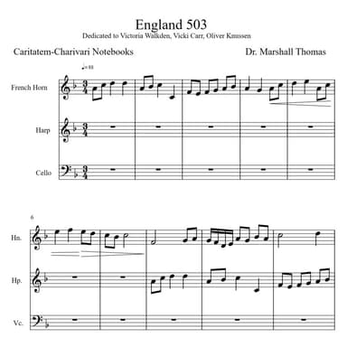 England 503