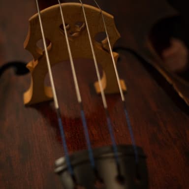 Don't Dream It's Over (arr. SAMUEL MALAQUIAS)
