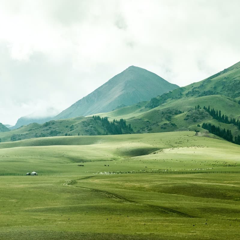 Green Grow The Rushes, O (arr. Dominic Meccia)