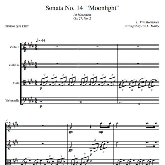Moonlight Sonata 1st mvmt (Sonata No. 14 opus 27 no. 2) - Beethoven - String Quartet (arr. Eve C. Mailly - Zene Strings)