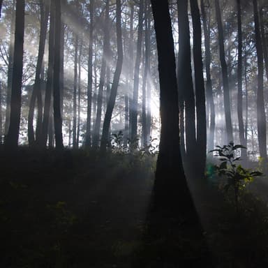 Ach wie nichtig, ach wie flüchtig! (arr. J. Randolph Hall)