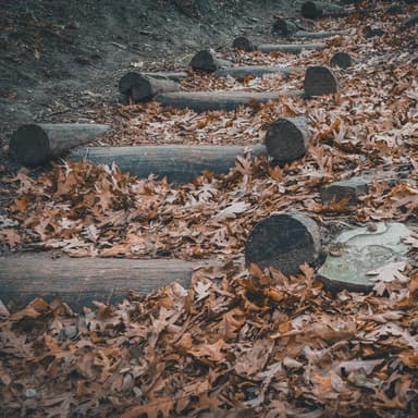 September Steps