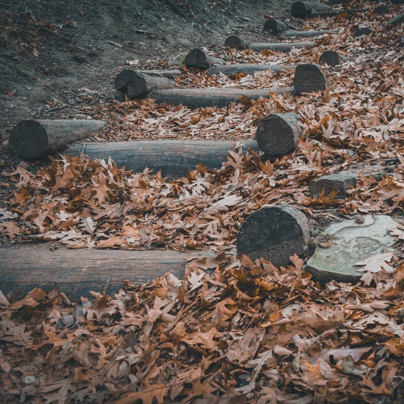 September Steps