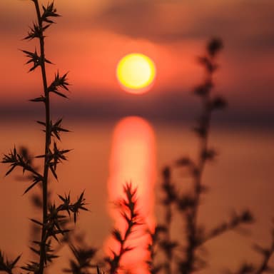 The Day's Last Light