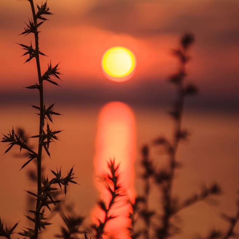 The Day's Last Light