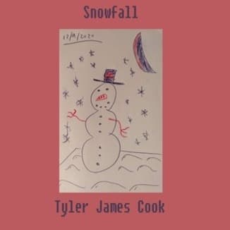 Snowfall