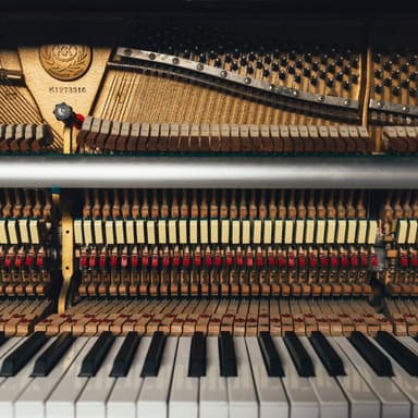 Minuet In G Major (arr. Dominic Meccia)