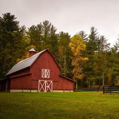 Old Macdonald Had A Farm (arr. Dominic Meccia)