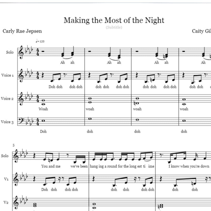 Making The Most Of The Night (arr. Caity Gillooley)