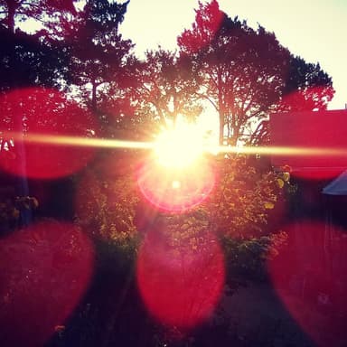 Bourree Lute Suite in Em For Classical Guitar Tablature (arr. Tracy Dean McCallum)