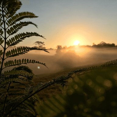 Morning Mood by Grieg for Alto Sax and Piano (arr. Glauco Fernandes)