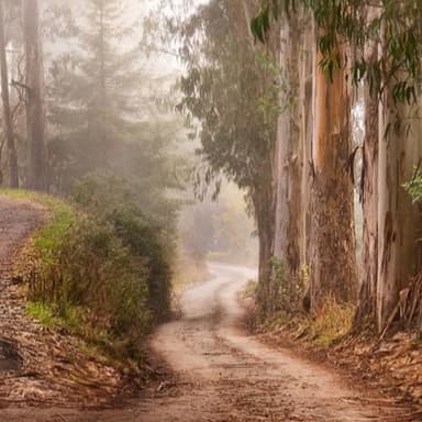 A Well-Traveled Road