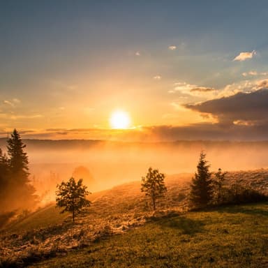 Carolina In The Morning (arr. Dominic Meccia)