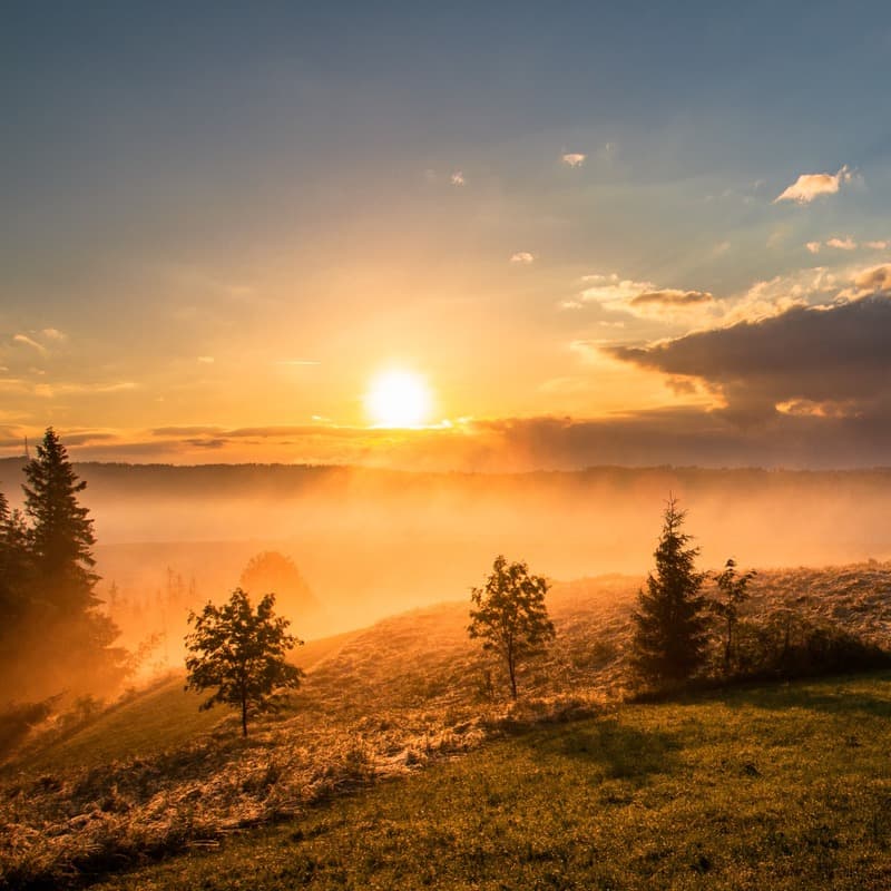 Carolina In The Morning (arr. Dominic Meccia)
