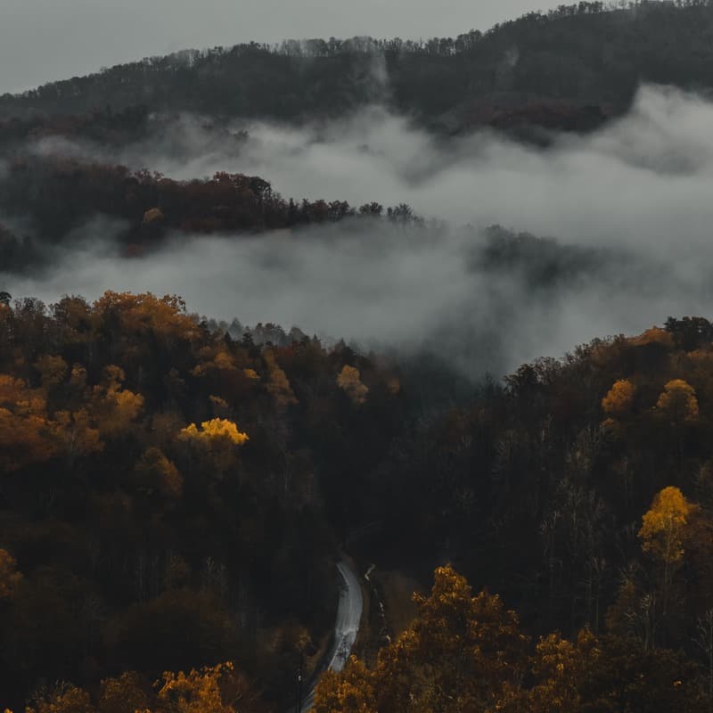 On Top Of Old Smoky (arr. Dominic Meccia)