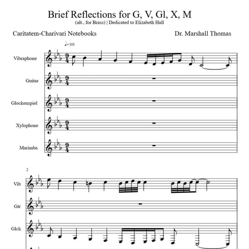 Brief Reflections for Guitar & Percussion a Voce