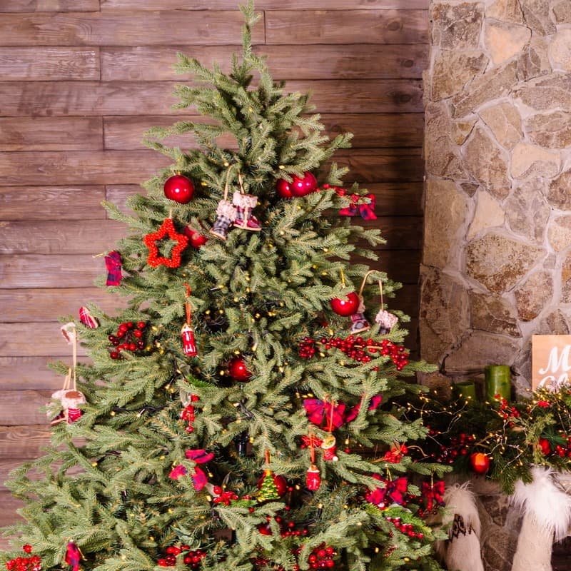 O Tannenbaum (arr. B. Scott Christmas)