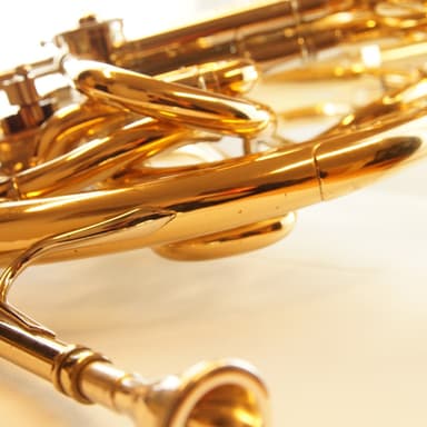 The One And Only (arr. Rob Bushnell)