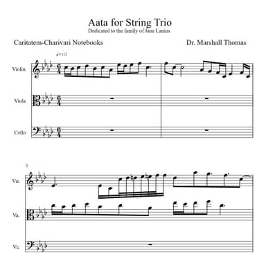 Aata for String Trio