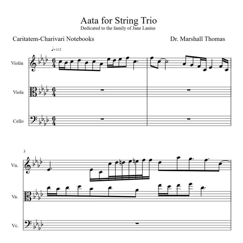 Aata for String Trio