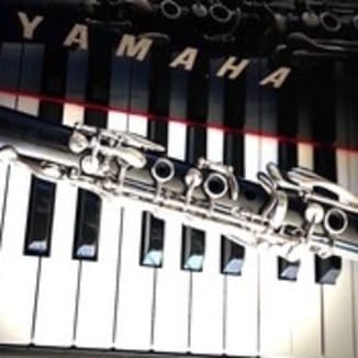 Con Te Partiro (Time To Say Goodbye) (arr. for Bb Clarinet & Piano by REX NEILSON)