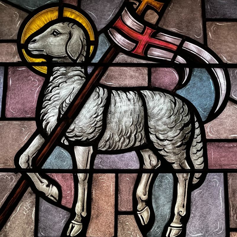 Agnus Dei (arr. J. Randolph Hall)