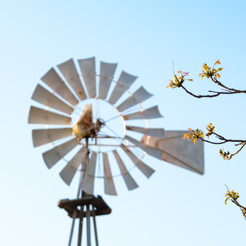 Blowin' In The Wind (arr. Dominic Meccia)