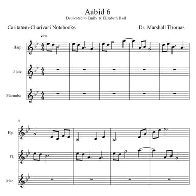 Aabid 6