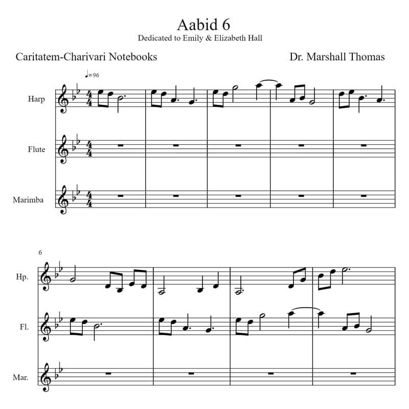 Aabid 6