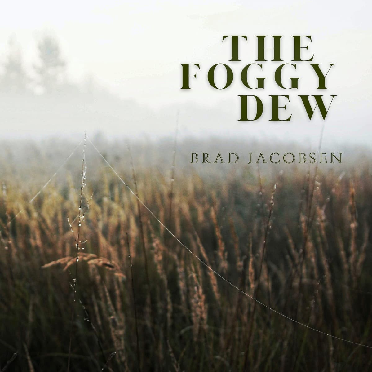 The Foggy Dew (arr. Brad Jacobsen)