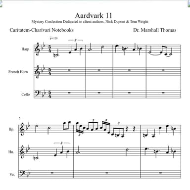 Aardvark 11