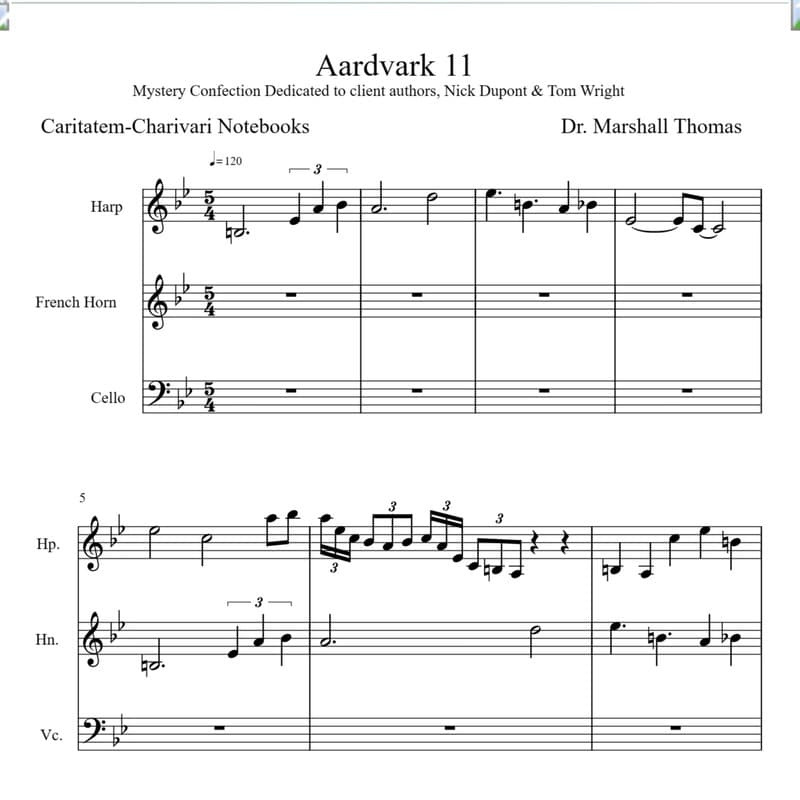 Aardvark 11
