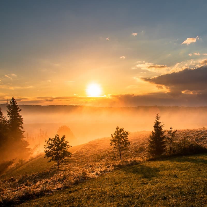 Carolina In The Morning (arr. Dominic Meccia)